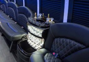 ECoach E450 Limousine Bus Interior with Glassware shelf 10