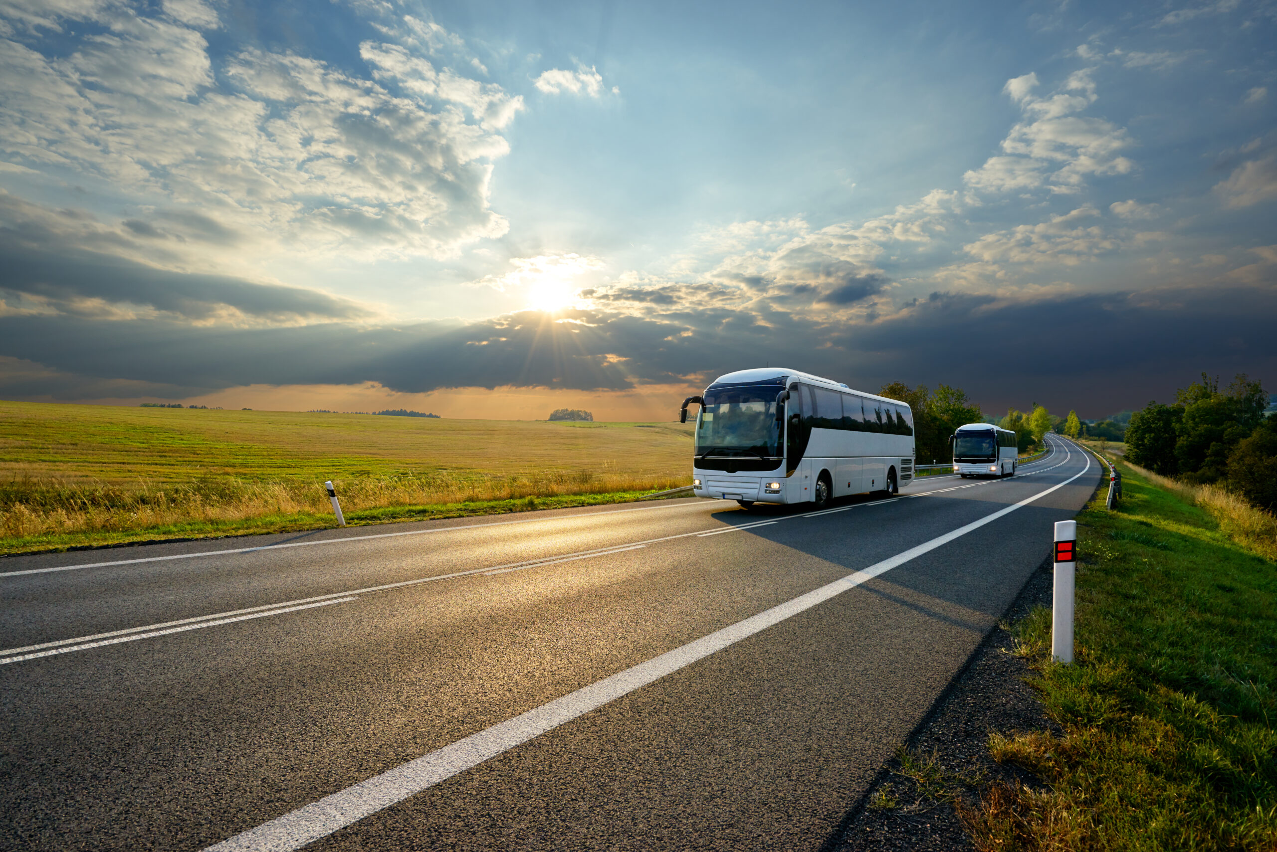 two white shuttle busses driving down the highway